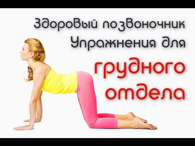 Грудной отдел позвоночника. Разминаем правильно