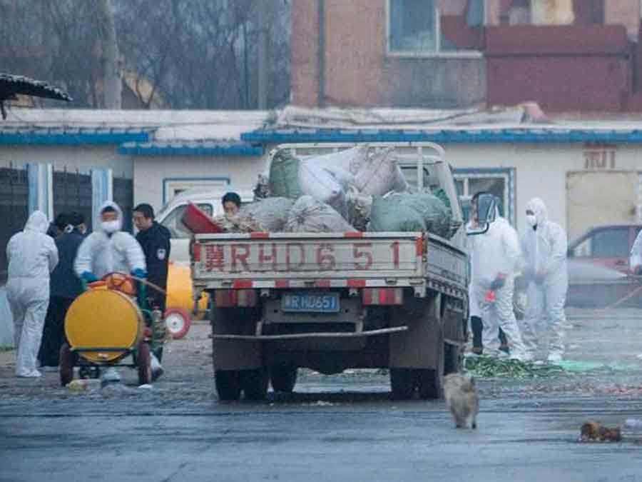 США узнало раньше об COVID-19, чем была первая вспышка в Ухани - СМИ