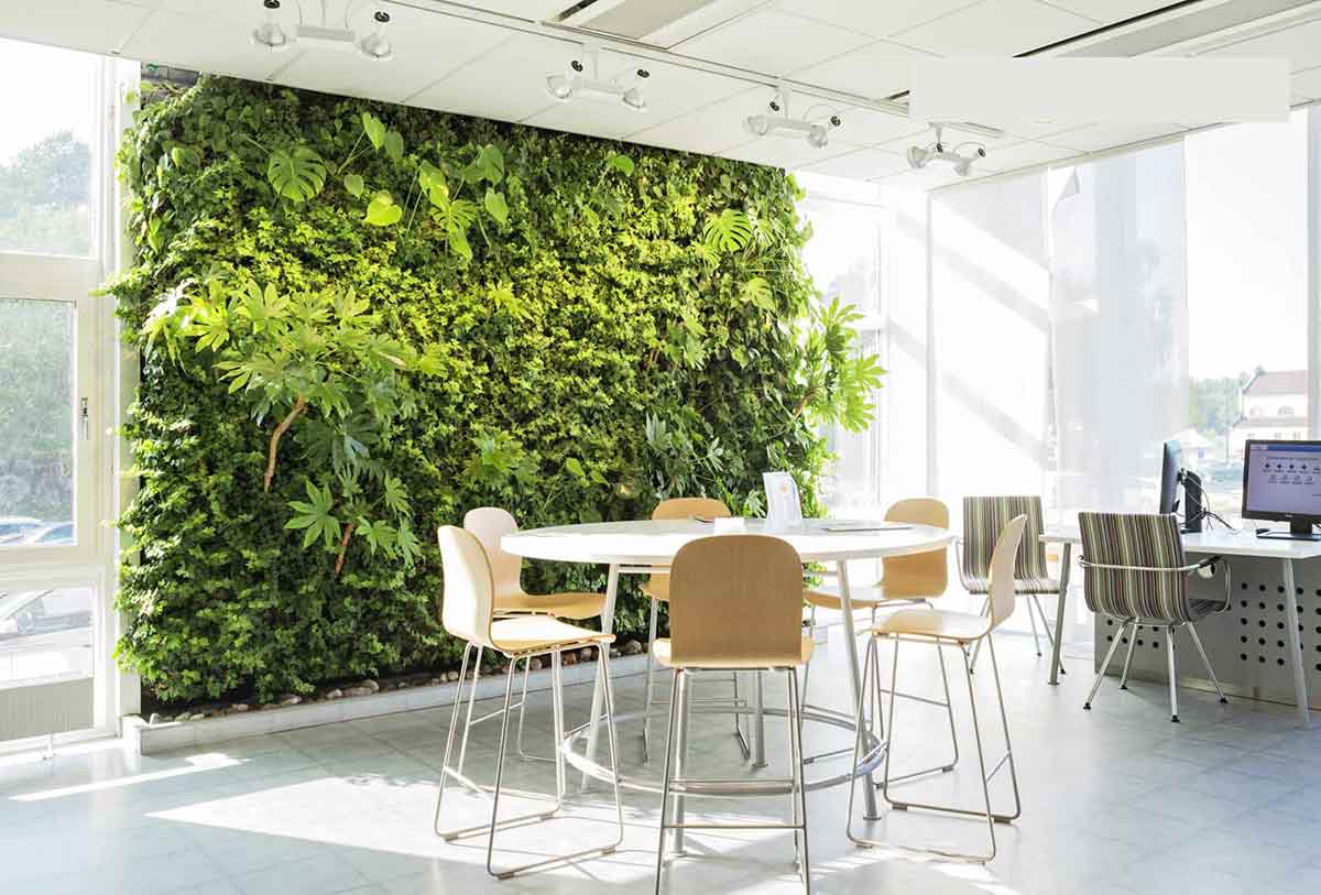 Плюсы фитостены с целью интерьера жилья