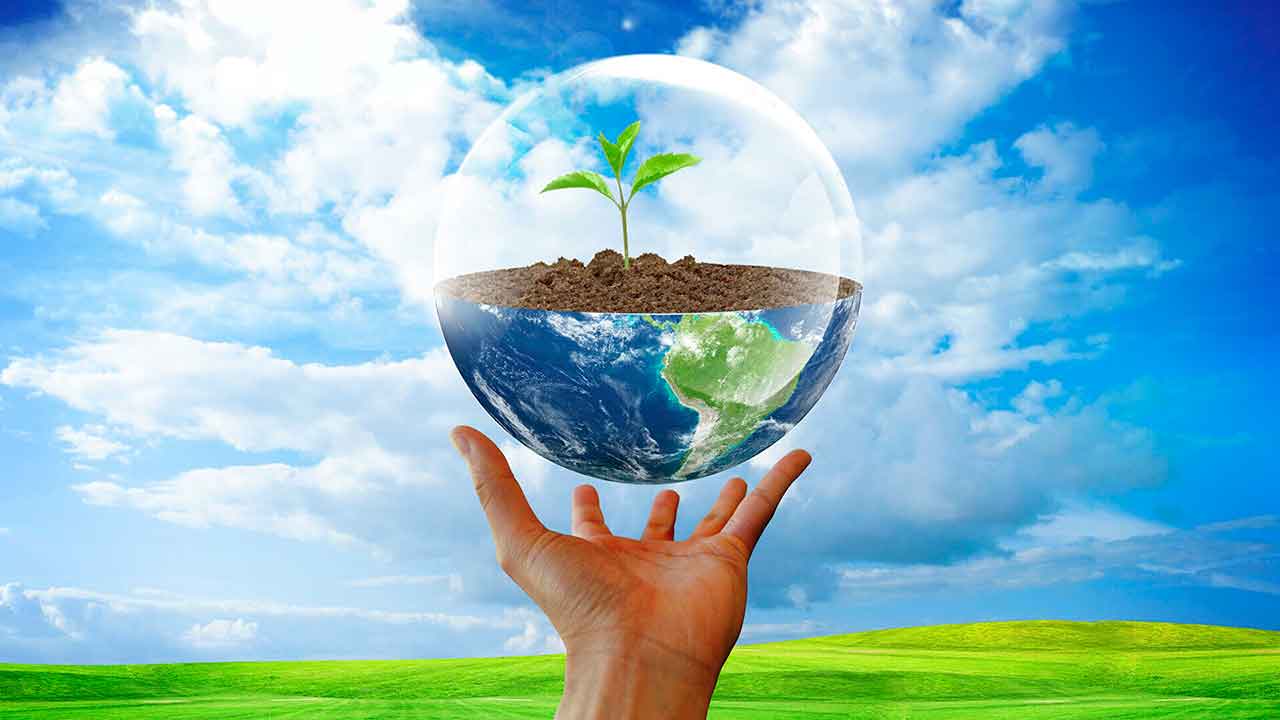 Для кого нужен проект СЗЗ