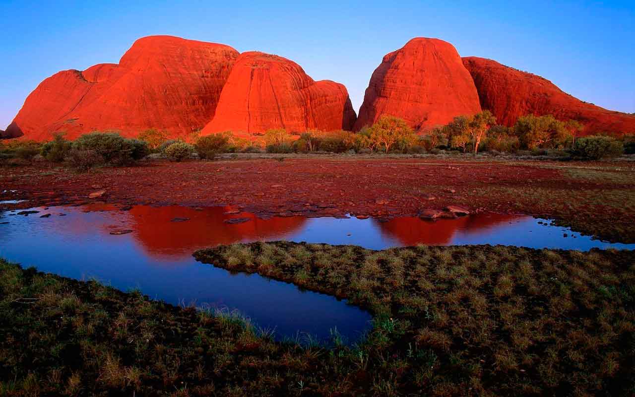 Австралия хочет спасти исчезающие виды