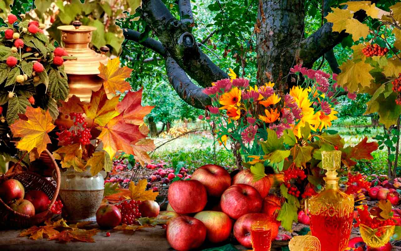 Как организовать свой сад осенью за 5 шагов?