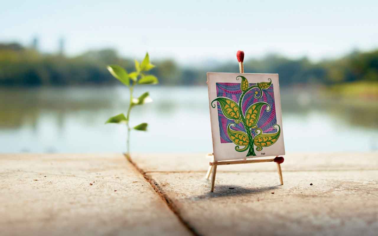 Спички — проверенный способ спасти комнатные растения