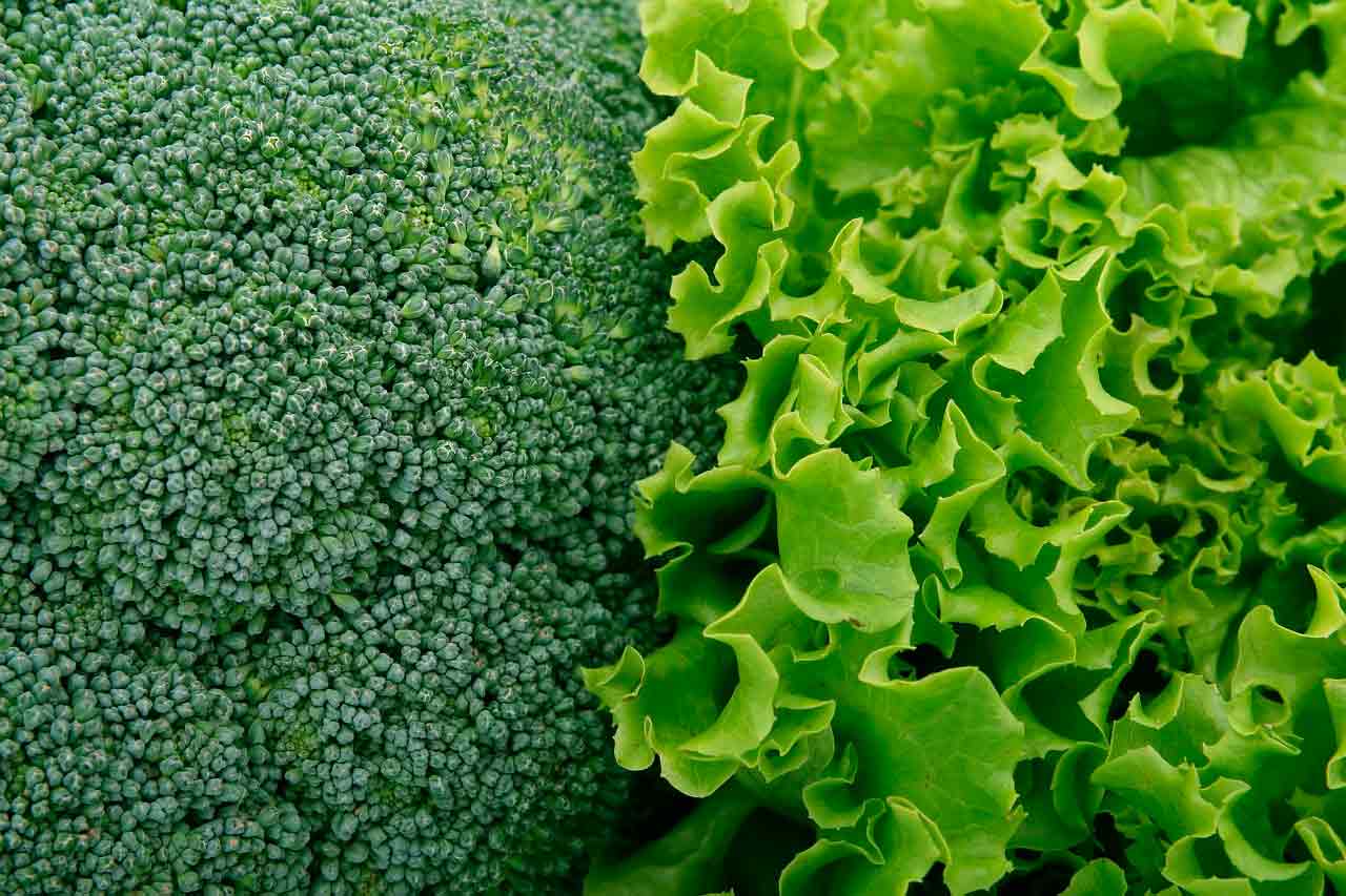 Начните выращивать эти семена в помещении сейчас для весенней посадки