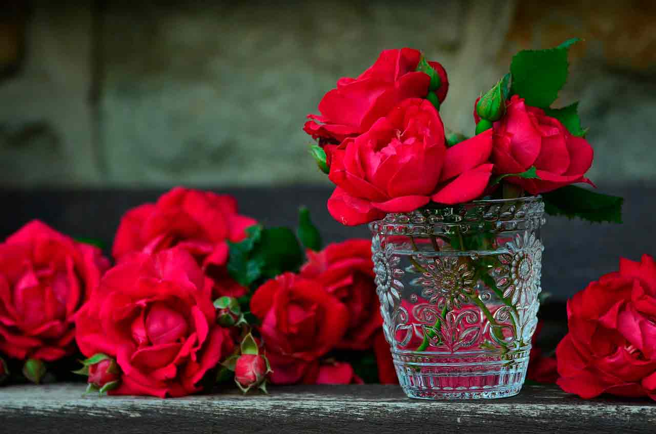 Ошибки при обрезке роз