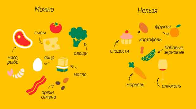 Кетогенная диета — что это такое и о чем она? Кому подходит кетогенная диета и какие у нее противопоказания?